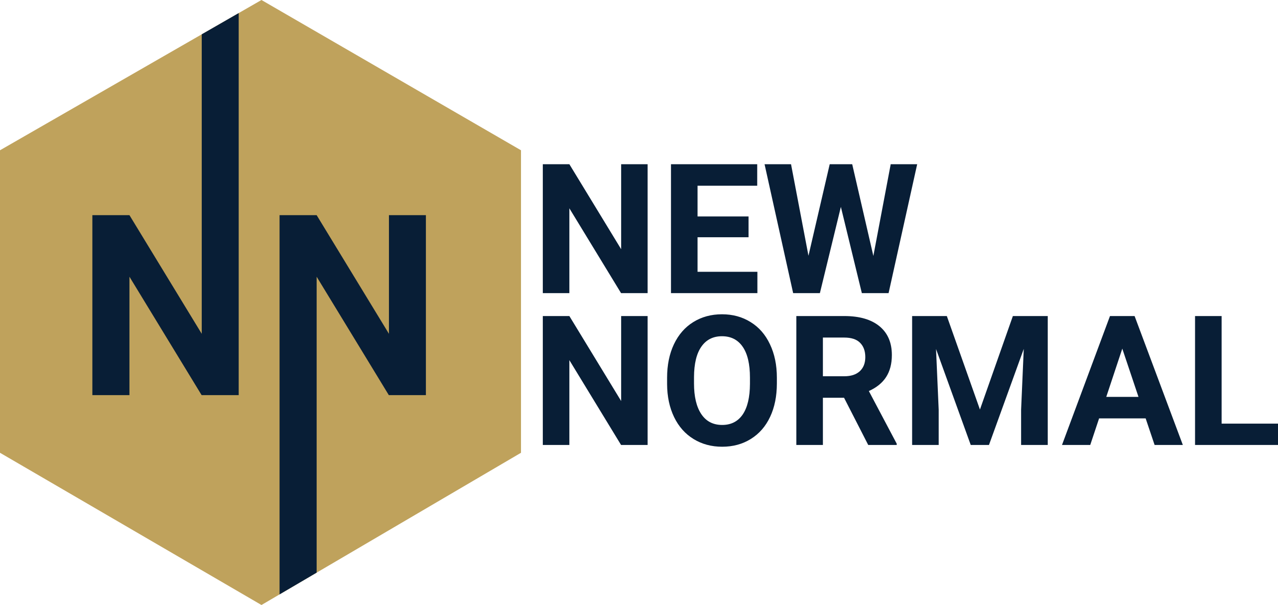 //foronegociosindigenas.com/wp-content/uploads/2023/03/New-Normal-Logo.png